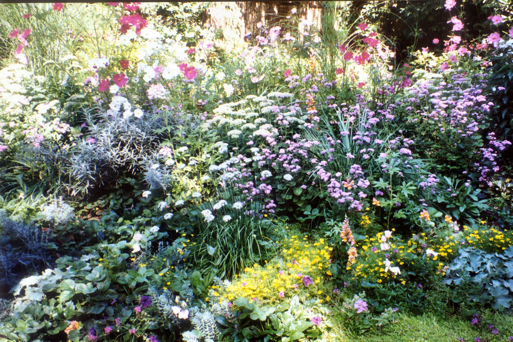 Planting Image