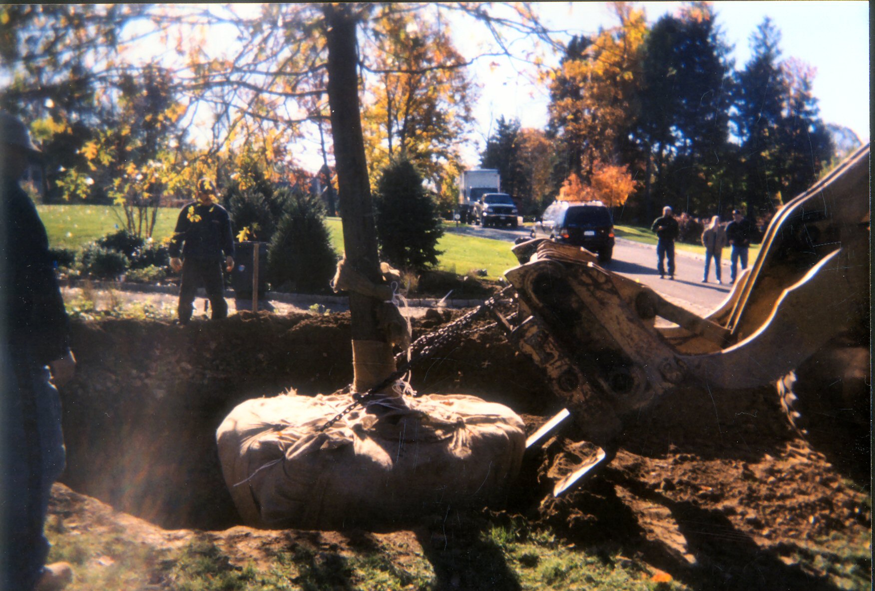 Planting Image