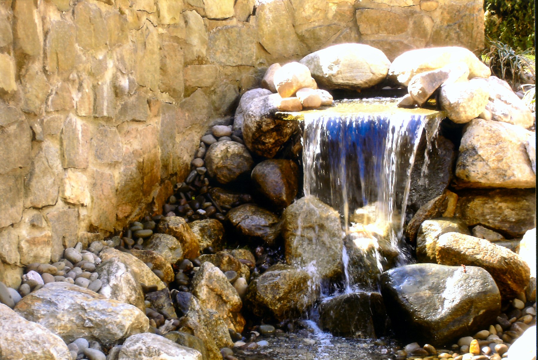 Specialty Image