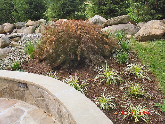 Planting Image
