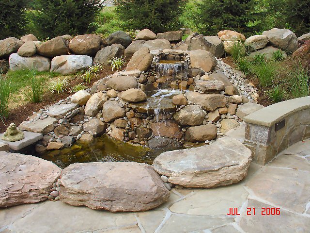 Specialty Image