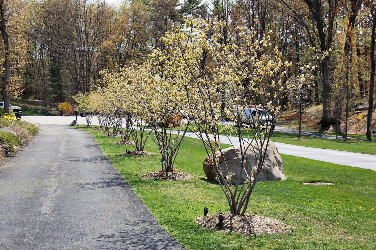 Planting Image